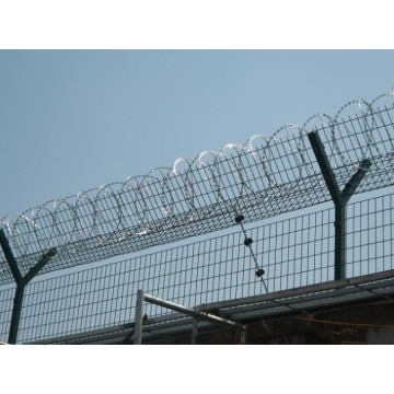 Hochfeste verzinkte Rasiermesser Stacheldraht Gefängnis Gefängnis Zaun
